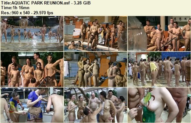 Nudists naked in the pool video [Nudism-Planet]